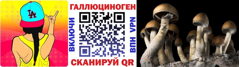 Галлюциногенные грибы Psilocybe  hydra ТОР  Магнитогорск 